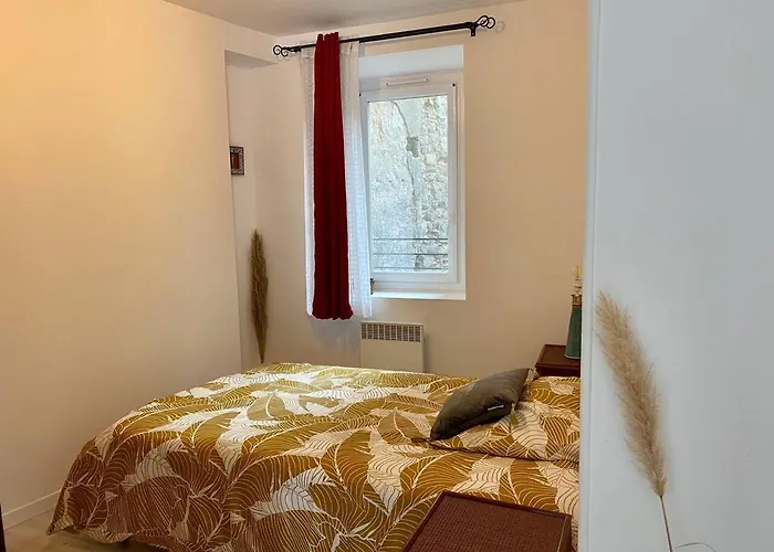 Accueillant Petit T2 Coeur De Centre Apartamento *